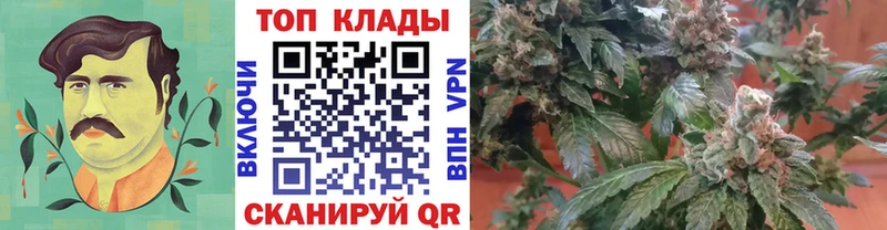 Купить закладку АМФЕТАМИН  APVP  Гашиш  Бошки Шишки  Меф мяу мяу  Кокаин  Вяземский