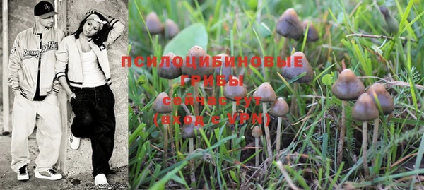 mdma Краснослободск