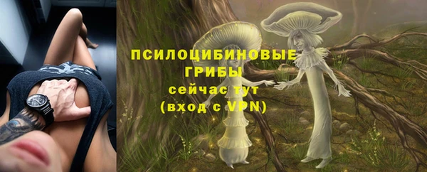 mdma Краснослободск