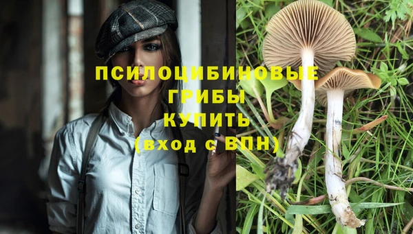 mdma Краснослободск