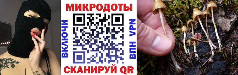 Купить  Вяземский  Галлюциногенные грибы Magic Shrooms 