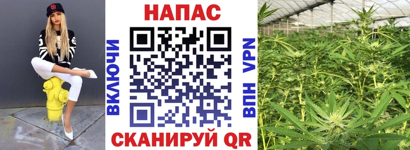 МАРИХУАНА тримм  Купить закладки  Вяземский 